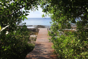 Cozumel Condo #A2